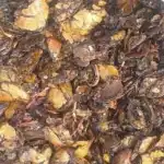 Cashew Nut Shell Cake